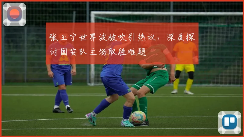 张玉宁世界波被吹引热议,深度探讨国安队主场取胜难题
